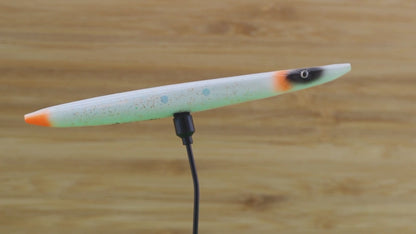 NDS19