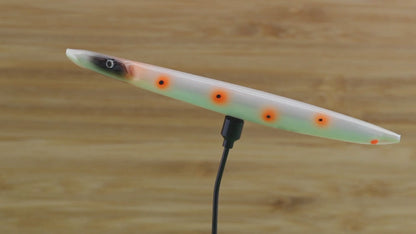 DOT03