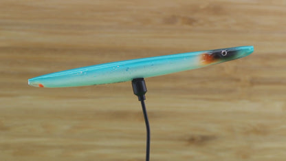LSC16