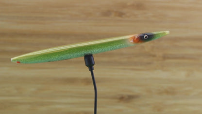 FL21