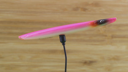 NEO33