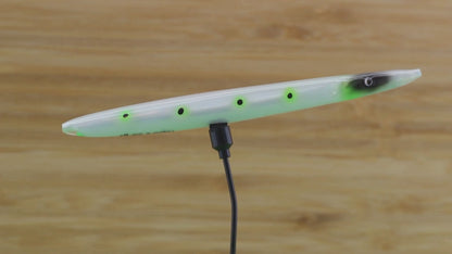 DOT05